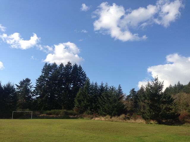 向高价